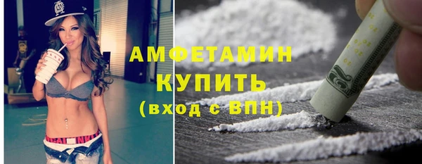 крисы Абаза