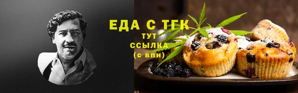 крисы Абаза