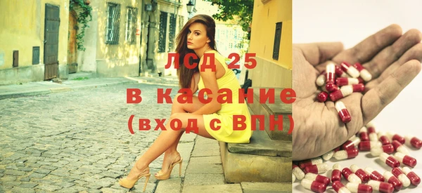 крисы Абаза