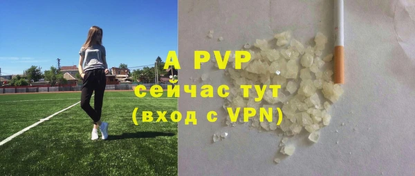 крисы Абаза