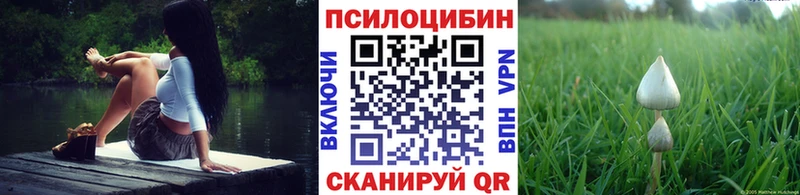 Галлюциногенные грибы GOLDEN TEACHER  Ряжск 